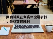 IM电竞-国内球队在大赛中披荆斩棘，最终获得胜利