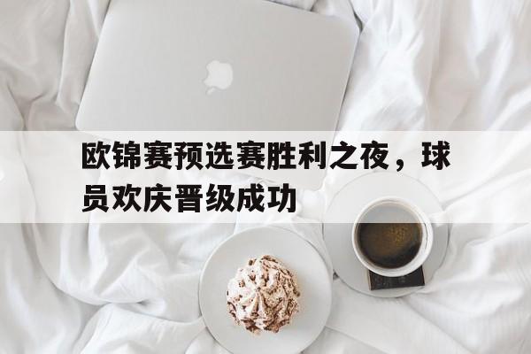 欧锦赛预选赛胜利之夜，球员欢庆晋级成功
